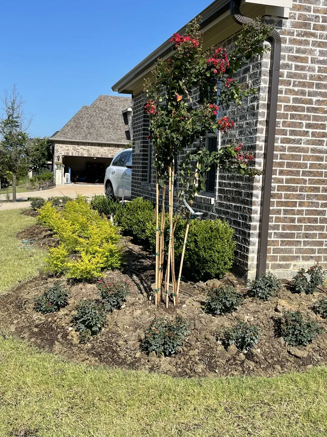 New shrubs, crape myrtle, and fresh plantings installed along brick home, Godoy's Wolves