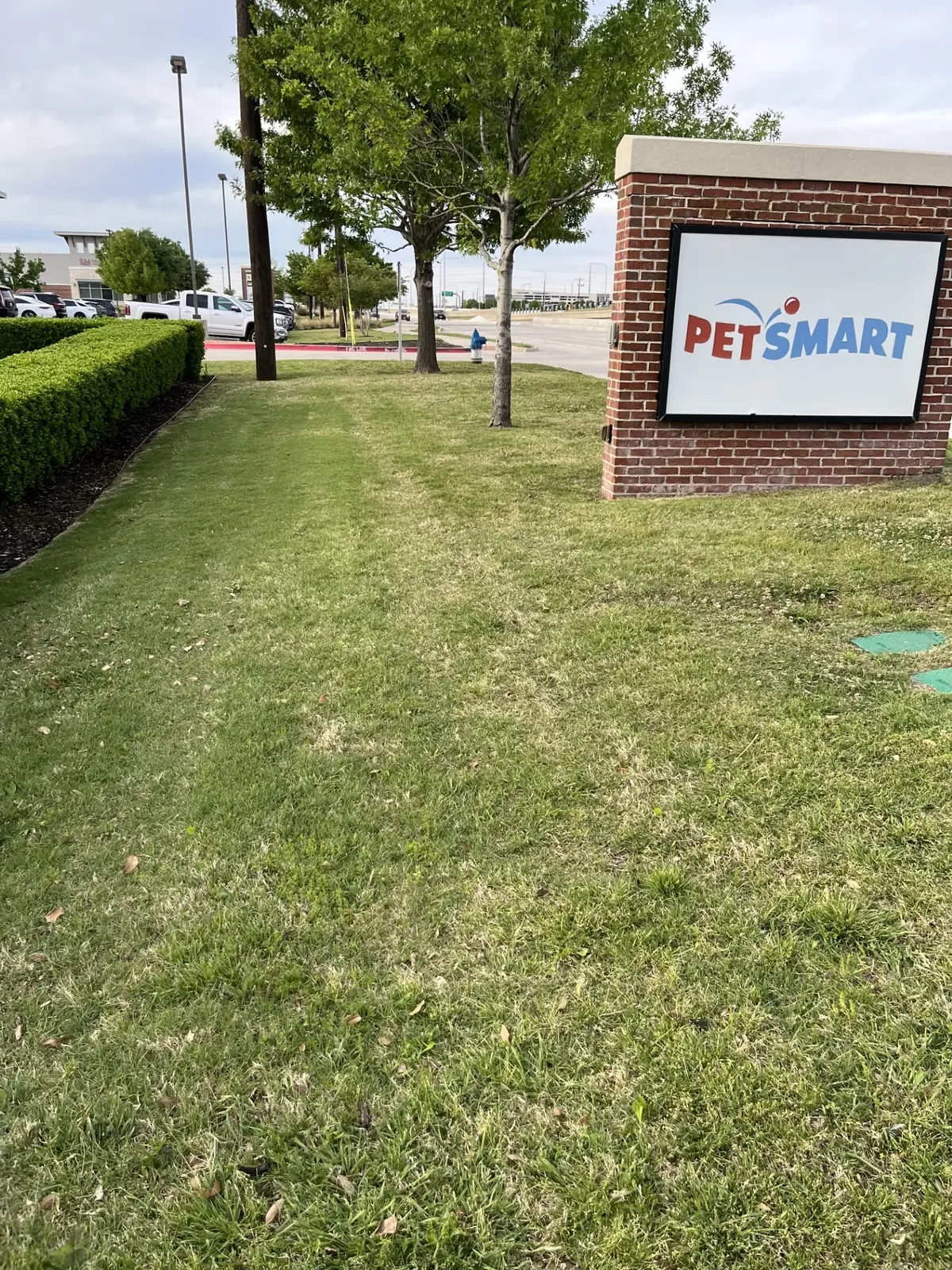 Mowed turf with visible mow stripes and a sharply squared hedge line at a commercial entrance sign