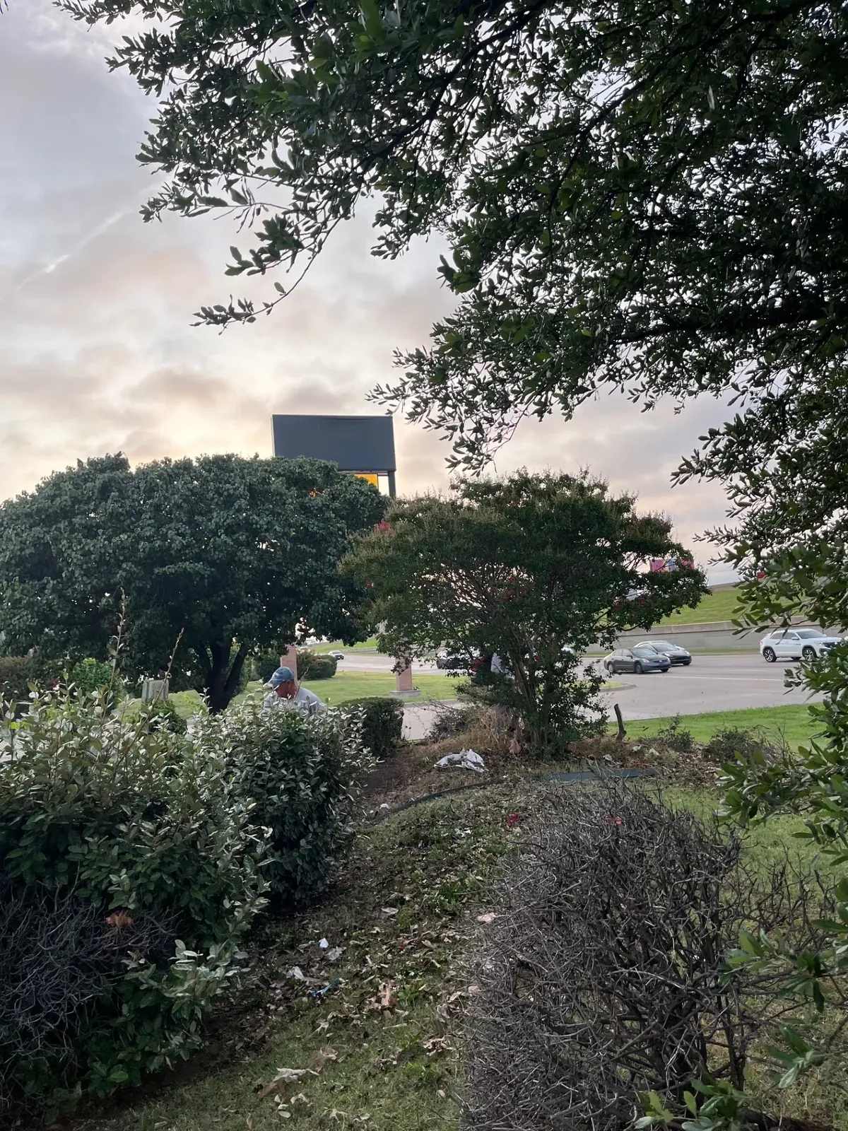 Commercial flowerbed cleanup, Godoy's Wolves LLC