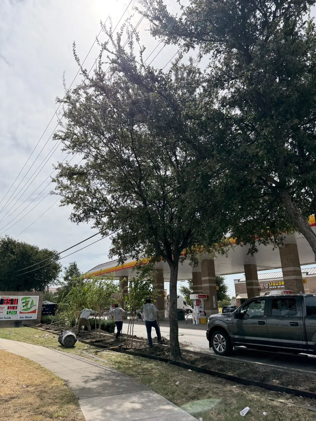 Three Godoy's Wolves crew members planting young trees and a boxwood hedge along the street frontage of a fuel station, irrigation coil staged on the ground beside them