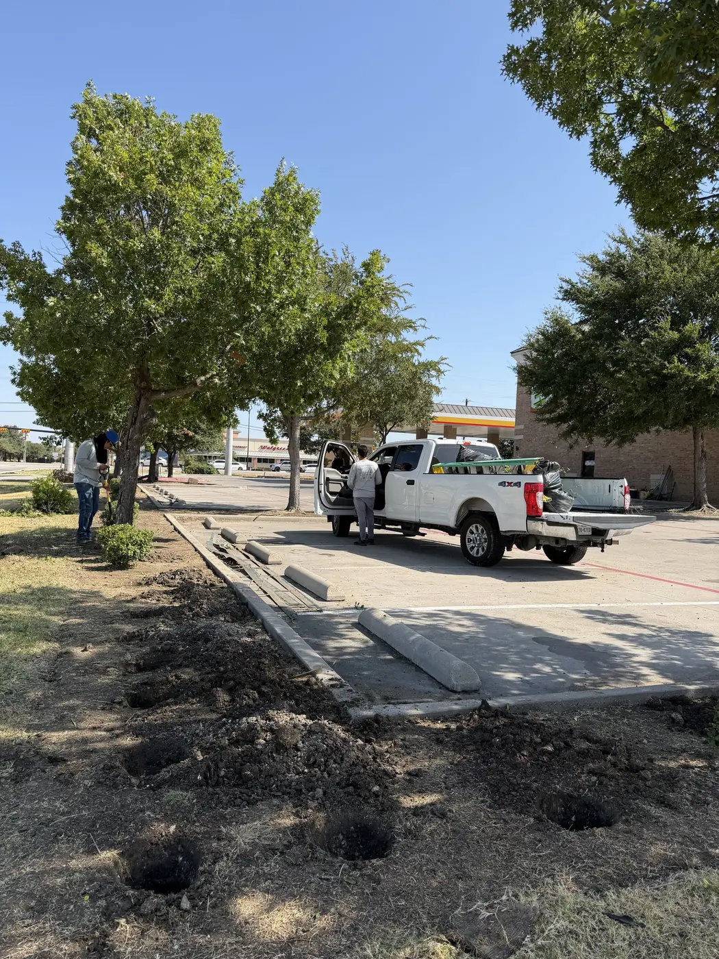 Row of tree pits dug along a commercial parking perimeter with root balls set in place, a Godoy's Wolves crew member working at the bed line and the crew truck parked alongside