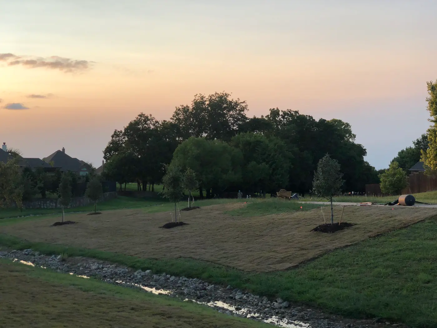 Freshly laid sod in strips across a graded commercial common area beside a rock-lined drainage channel
