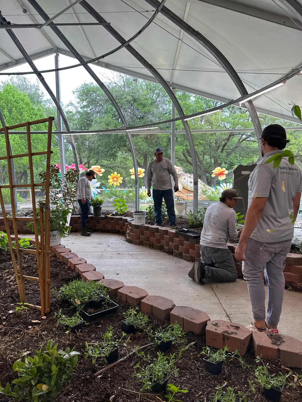Godoy's Wolves crew laying out and planting nursery stock along brick beds inside the butterfly enclosure