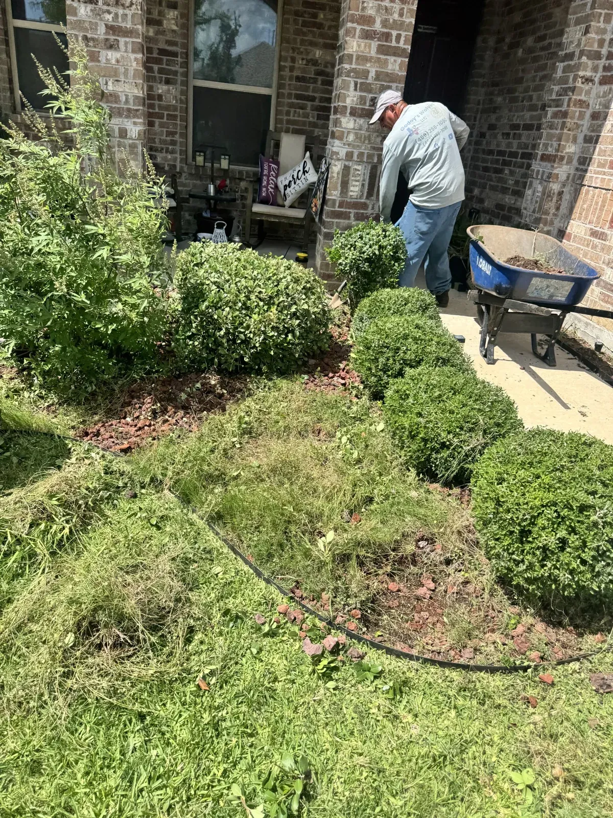 Cleared landscape bed with shaped shrubs and fresh mulch at a Dallas home