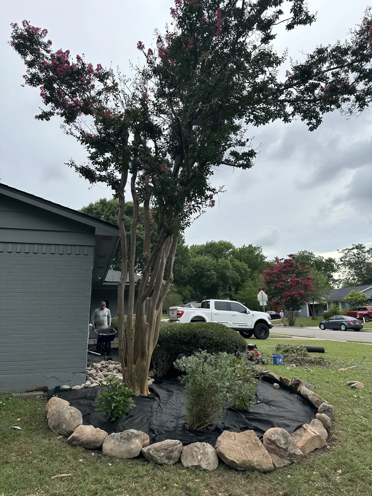 Landscape bed in progress, Godoy's Wolves Dallas