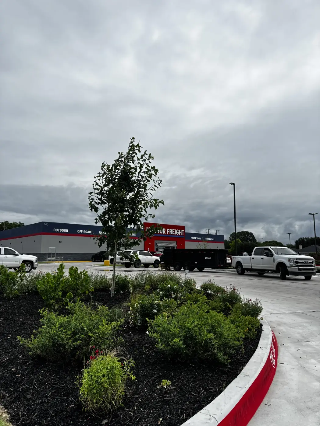 Newly installed island bed with fresh black mulch, new shrubs and a staked young oak, crew trucks and dump trailer on site