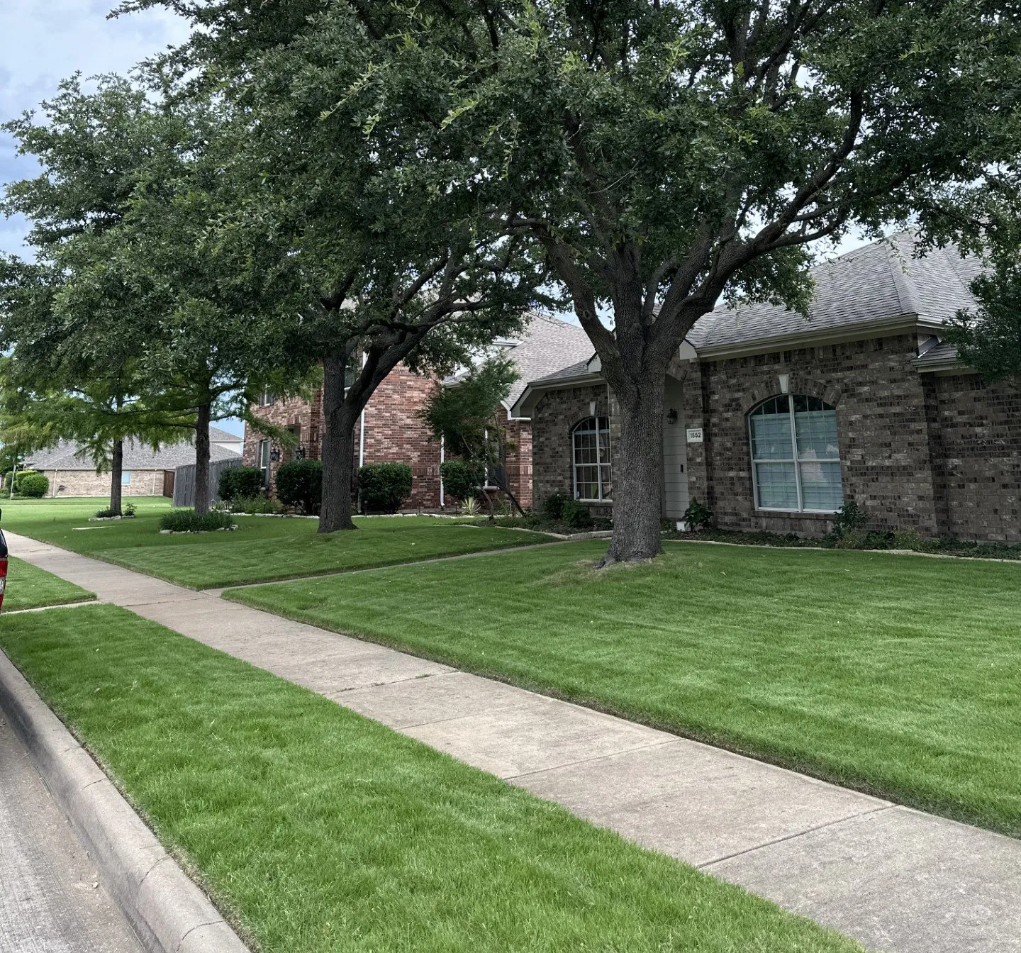 Lush residential lawn after professional sod installation, DFW Texas