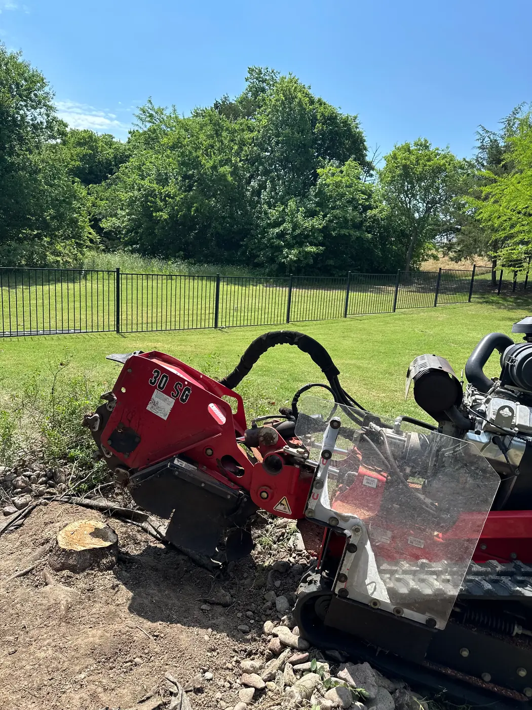 Tracked stump grinder cutting into a large stump beside stacked cut logs and a bed of fresh grindings
