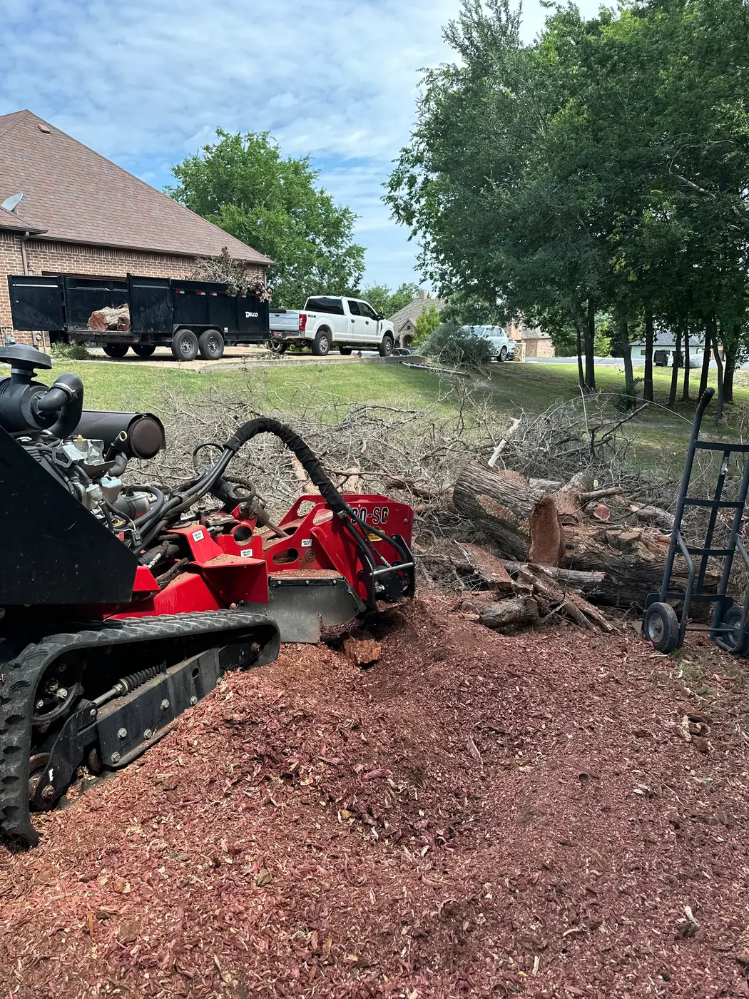 Godoy's Wolves operator running the tracked stump grinder on a stump at the edge of a treeline