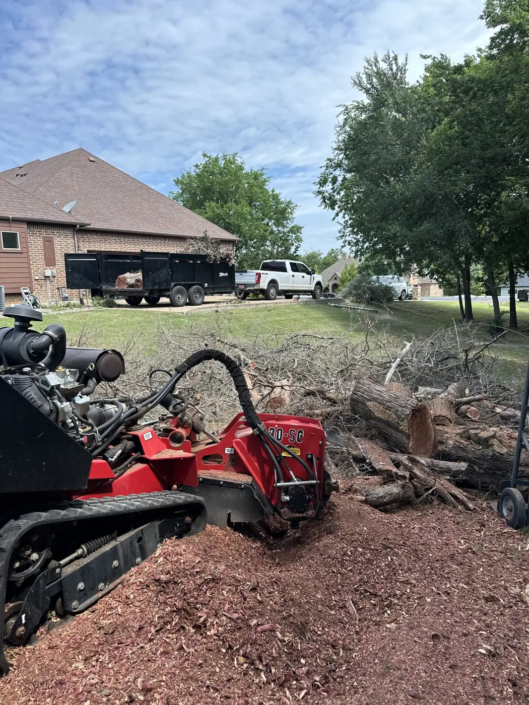 Tracked stump grinder cutting a stump into a deep bed of fresh mulch with cut trunk sections behind