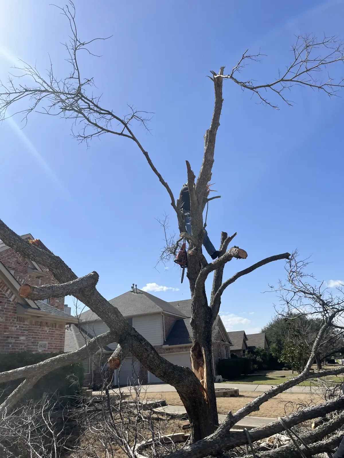 Dump trailer loaded with brush after storm cleanup, Godoy's Wolves North Texas